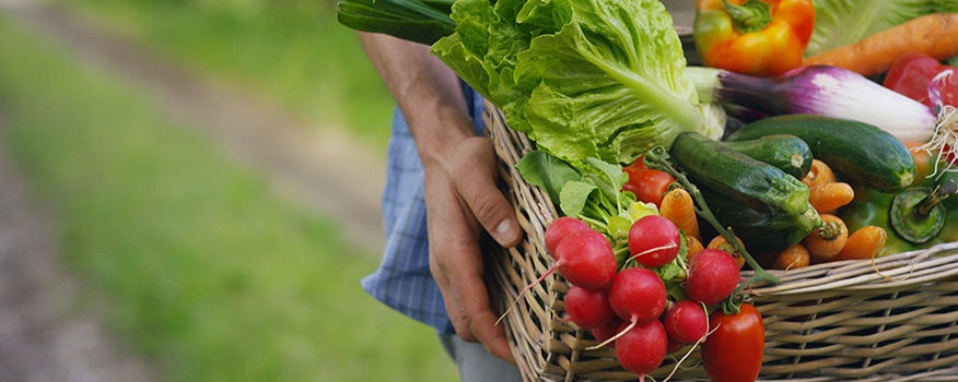 5 Tips for Gardening this Summer without Hurting Your Back
