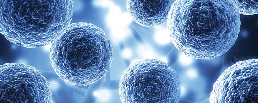 What Conditions Can Stem Cell Therapy Treat?