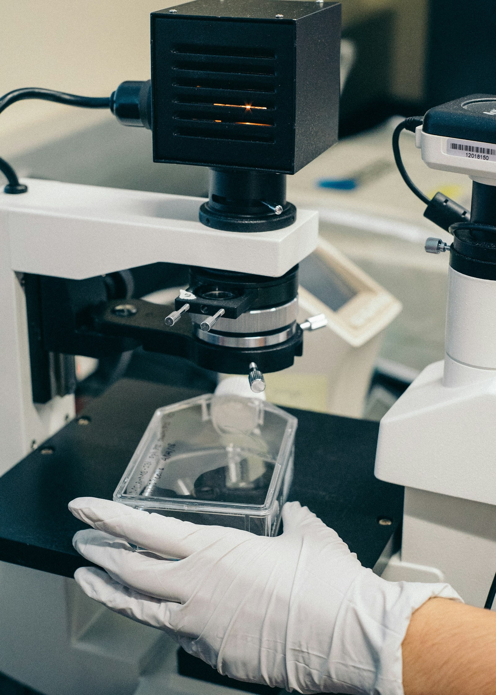 Mesenchymal stem cell culture preparation